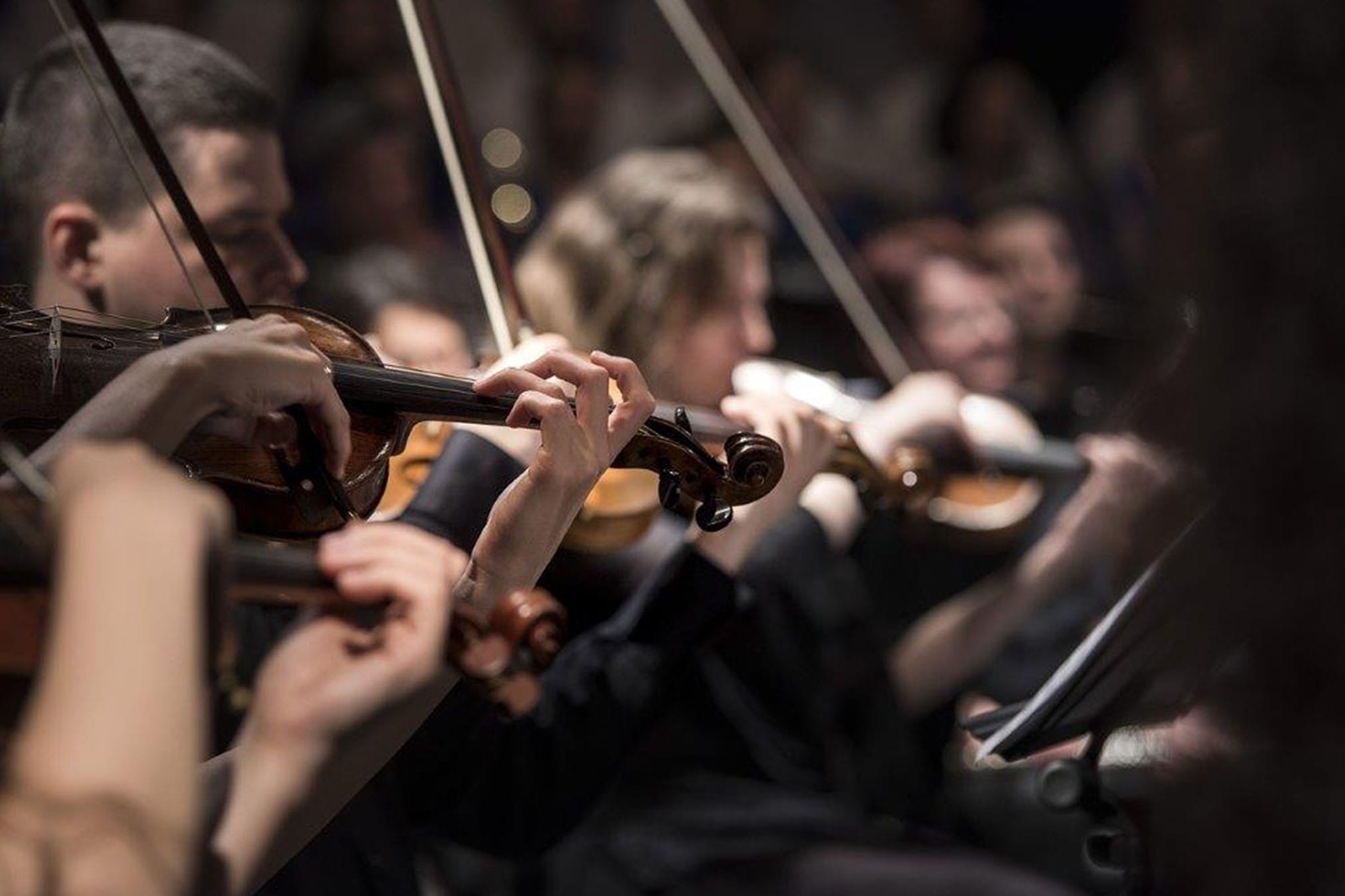 Matinee im Künstlerhof - Ladon Ensemble: Wintermärchen